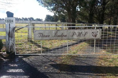 Three Linden - Tourism Gold Coast 3