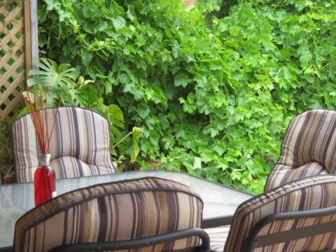 Amalie Cottage Waikerie Unit 1 - Tourism Gold Coast 6