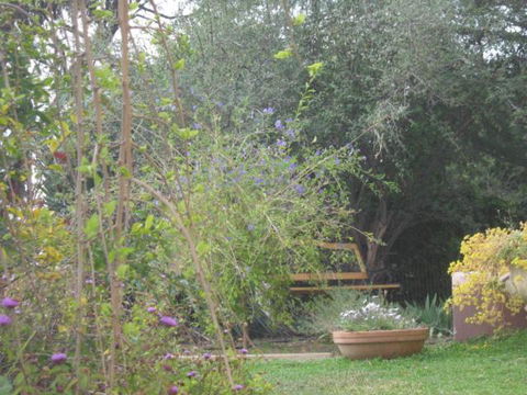 Amalie Cottage Waikerie Unit 1 - Tourism Gold Coast 5