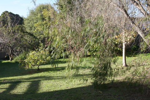 Lytton At Lonnie - Gold Coast 2