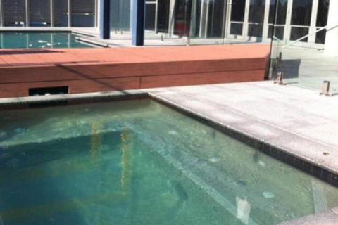 Azul Del Mar - Tourism Gold Coast 5