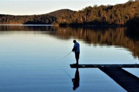 9 Hayward St. Stay Lakeside - Tourism Gold Coast 4