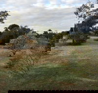 Young Budget Accommodation - Tourism Gold Coast