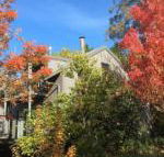 Cloudsong Chalet 4 Close to the village centre - Tourism Gold Coast