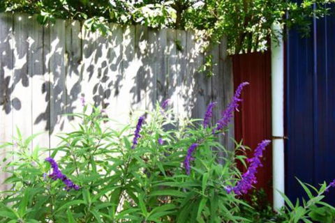Lulu Hill Cottage Kangaroo Valley - Tourism Gold Coast 7