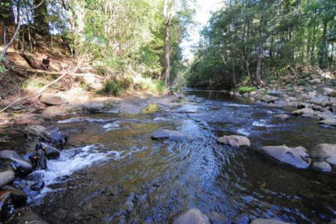 Willabrook Retreat Mojo Cottage Romantic Escape! - Tourism Gold Coast 5