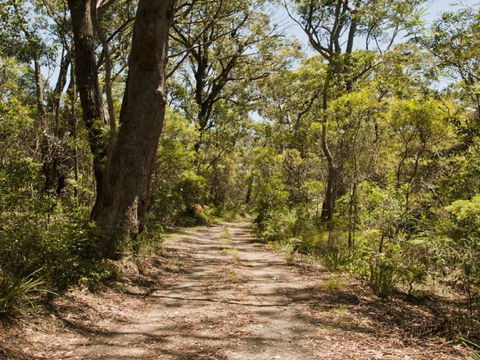 Riverbend 5 Acres Only 9km To Village - Tourism Gold Coast 3