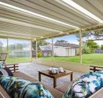Sea Bird close to beach shops  cafes - Tourism Gold Coast