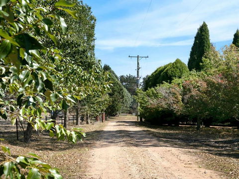Warrington Park Bendooley Hill - Tourism Gold Coast 5