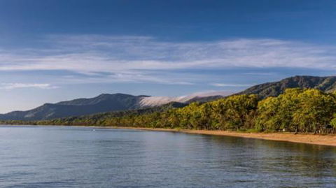 RED COWRIE 321atPALM COVE - Tourism Gold Coast 3