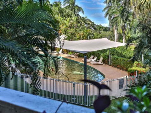 RED COWRIE 321atPALM COVE - Tourism Gold Coast 4
