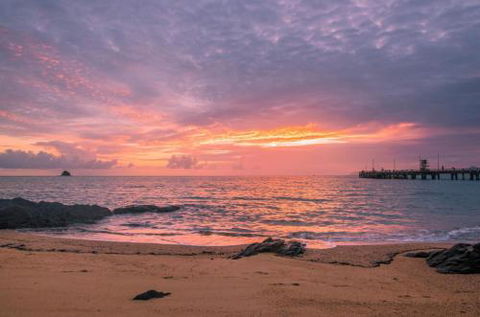 RED COWRIE 321atPALM COVE - Tourism Gold Coast 5