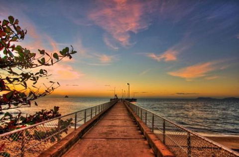 RED COWRIE 321atPALM COVE - Tourism Gold Coast 2