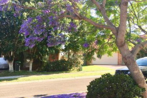 ULTRA SPACIOUS STYLISH HOME In PRESTONS SYDNEY - Tourism Gold Coast 7