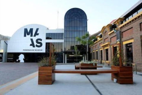 NEW Cozy Comfy APT Near Sydney Airport & CBD - Tourism Gold Coast 6