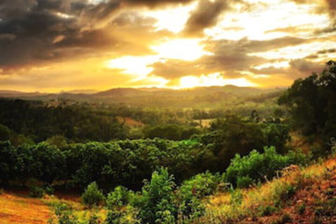 Stonehouse Farm Glamping - Tourism Gold Coast 0