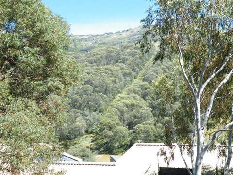 Mowamba E1 - Gold Coast 4