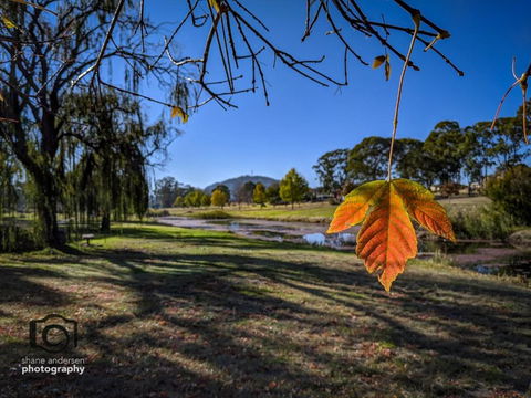 Dillons Cottage - Tourism Gold Coast 4