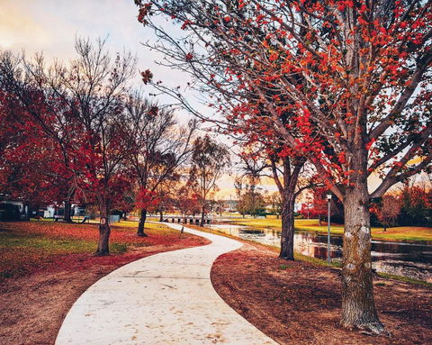 Dillons Cottage - Tourism Gold Coast 3