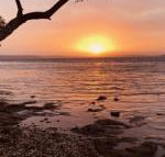 Paradise Beach Apartments - Tourism Gold Coast