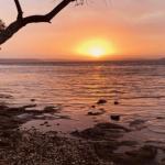 Paradise Beach Apartments - Tourism Gold Coast 0