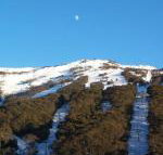 Thredbo 31 - Gold Coast