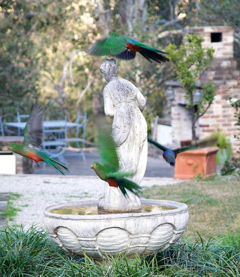 The Willows At Kurrajong - Tourism Gold Coast 4