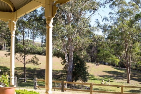 The Willows At Kurrajong - Tourism Gold Coast 3