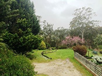 Acacia House Retreat Daylesford - Tourism Gold Coast 1