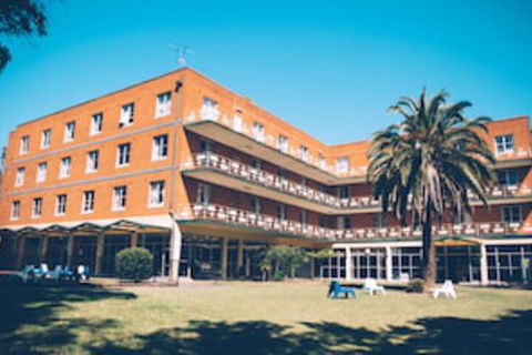 Greenwich Village Accommodation Hostel - Tourism Gold Coast 0