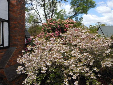 Merrimeet Cottages - Tourism Gold Coast 0