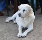 Nazaaray Beach House - Gold Coast