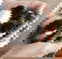 Margaret River Hideaway - Tourism Gold Coast