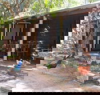 Kerriley Park Farm Stay - Tourism Gold Coast