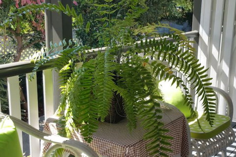 Elindale House Bed & Breakfast - Tourism Gold Coast 4