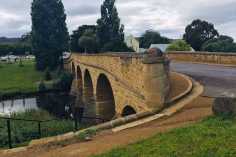 Alexanders' Of Richmond - Tourism Gold Coast 2