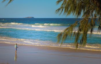Pacific Royale Holiday Apartment 313 - Tourism Gold Coast 2