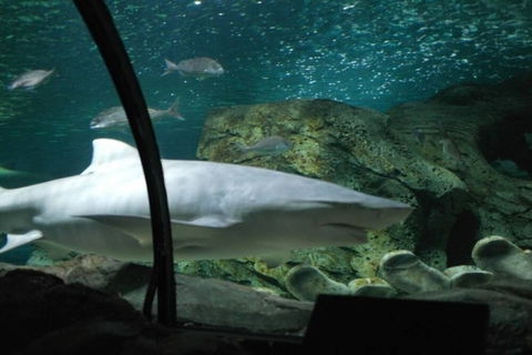 A19 Darling Harbour 2 BDR APT - Tourism Gold Coast 4