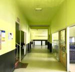 Bigfoot backpackers - Tourism Gold Coast