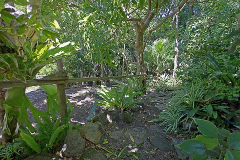 WategosRent - Tourism Gold Coast 5