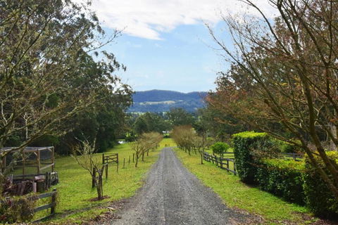 Maple Cottage - Tourism Gold Coast 6