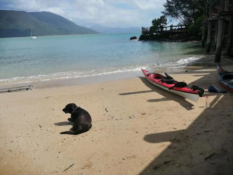Turtle Reef Bed & Breakfast Cairns - Tourism Gold Coast 3