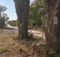 COONARR BEACH  BUNDABERG CAMPING - Tourism Gold Coast