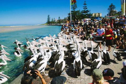 Beach & Ocean Front Penthouse With Wifi & Parking - Tourism Gold Coast 2