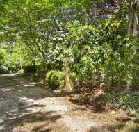 Jalscene - Tourism Gold Coast