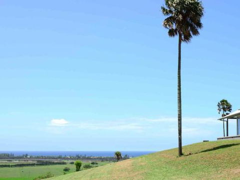 ROSE VALLEY Gerringong 4pm Check Out Sundays - Tourism Gold Coast 0
