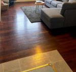 Honey at KI - Tourism Gold Coast