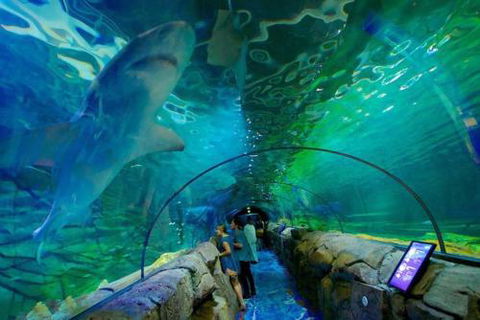 A Modern & Cozy Studio Next To Darling Harbour - Tourism Gold Coast 6