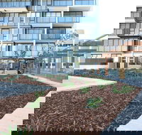 Arena on the Beach - Tourism Gold Coast