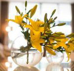 KUI Manhattan Apartments - Tourism Gold Coast